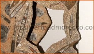 Fossils Erfoud in Morocco,marble fossils,quality products ,Achour fossils