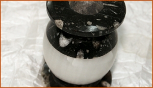 Fossils Erfoud in Morocco,marble fossils,quality products ,Achour fossils