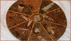 Fossils Erfoud in Morocco,marble fossils,quality products ,Achour fossils