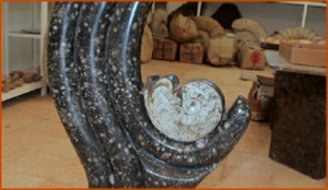 Fossils Erfoud in Morocco,marble fossils,quality products ,Achour fossils